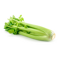 Celery (each) Product