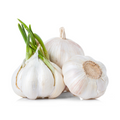 Garlic-per lb Product