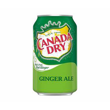 Ginger Ale 12oz Product
