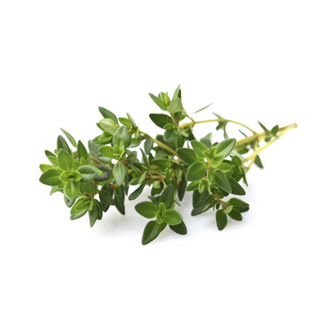 Thyme (bunch) Product